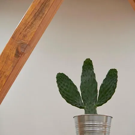 Design For Big Groups 4bed/3bath Lägenhet