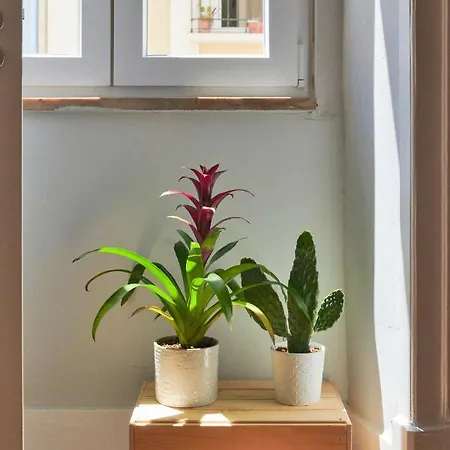 Design For Big Groups 4bed/3bath * Лиссабон